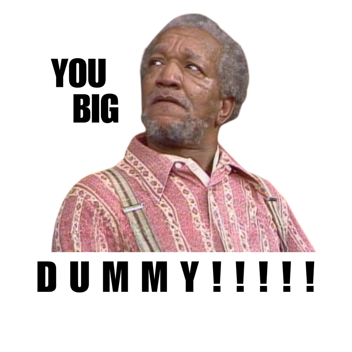 "YOU BIG DUMMY!!!!!!" CUSTOM DESIGN GRAPHIC