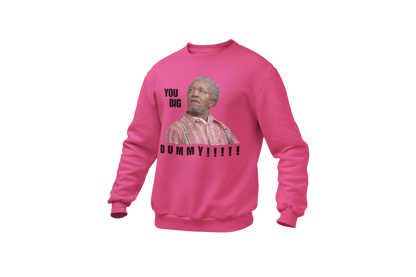 "YOU BIG DUMMY!!!!!!" CUSTOM DESIGN GRAPHIC