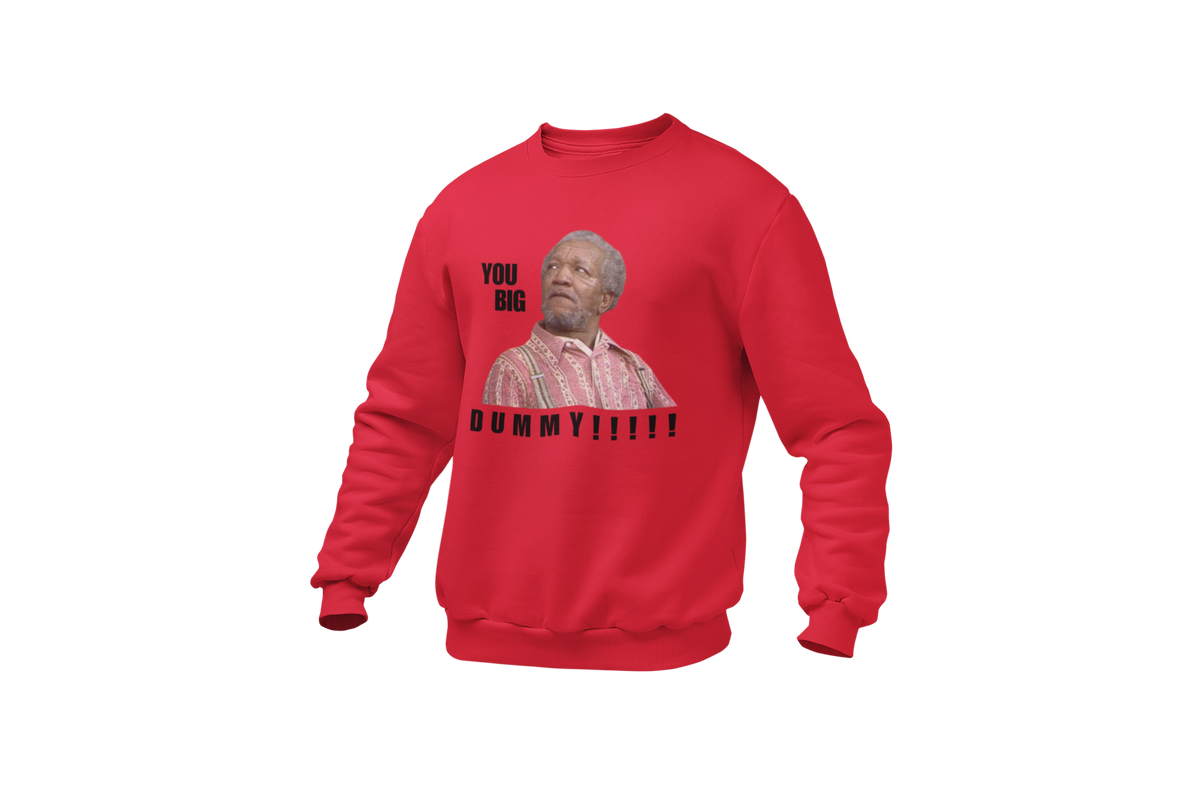 "YOU BIG DUMMY!!!!!!" CUSTOM DESIGN GRAPHIC
