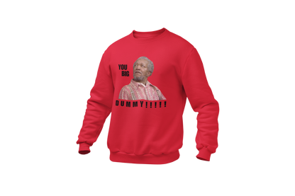 "YOU BIG DUMMY!!!!!!" CUSTOM DESIGN GRAPHIC