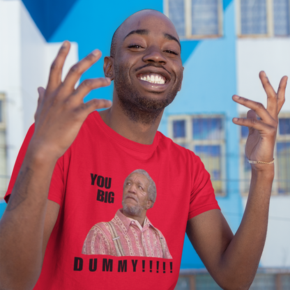 "YOU BIG DUMMY!!!!!!" CUSTOM DESIGN GRAPHIC