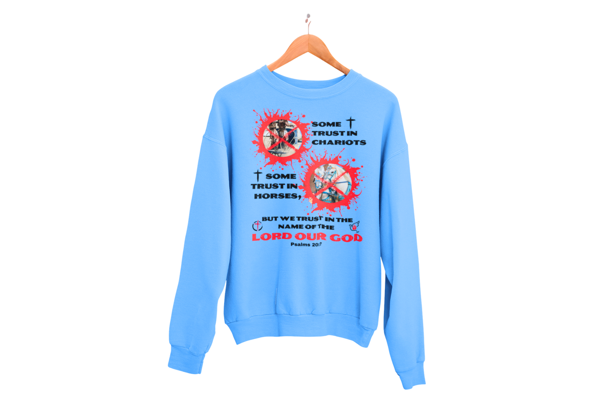 "HORSES & CHARIOTS"  SIGNATURE CUSTOM SWEATSHIRT