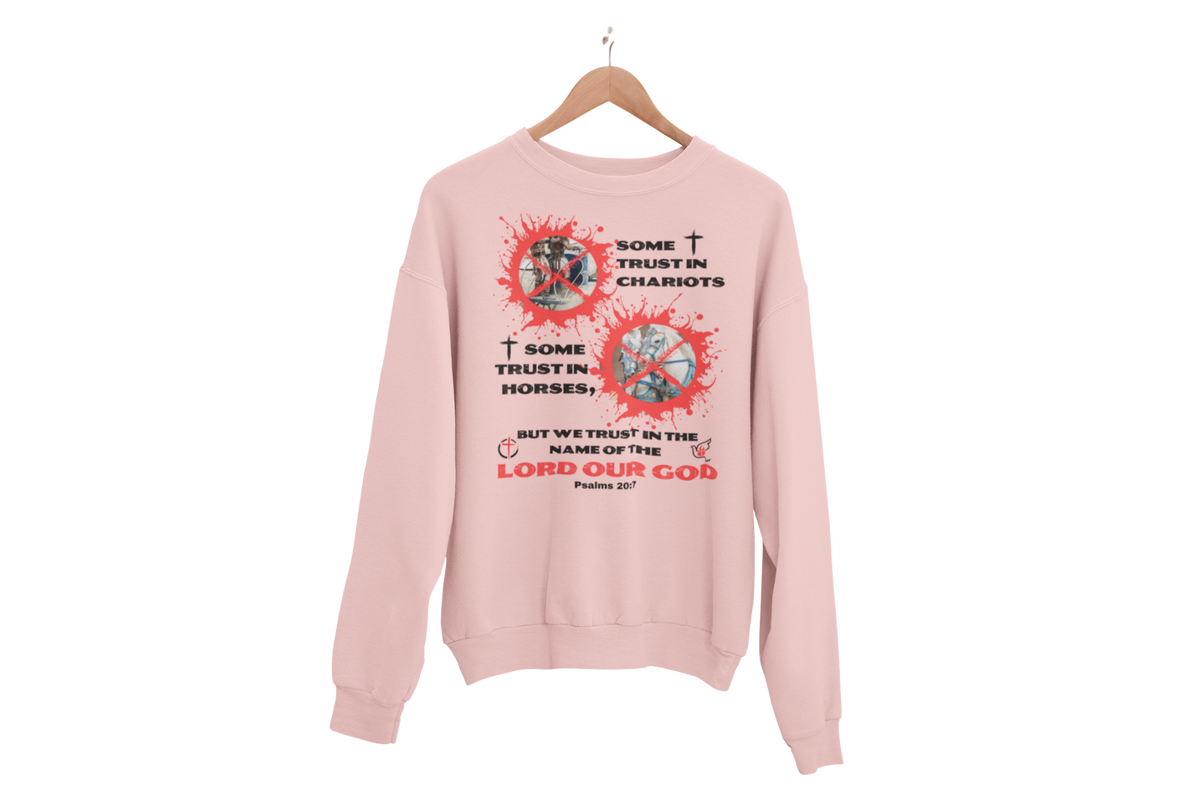 "HORSES & CHARIOTS"  SIGNATURE CUSTOM SWEATSHIRT