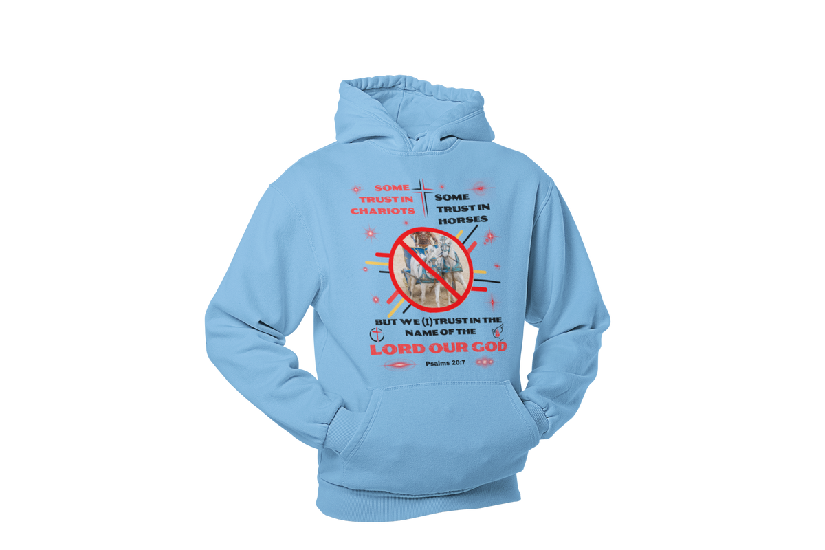 "SOME TRUST IN"  SIGNATURE CUSTOM DESIGN